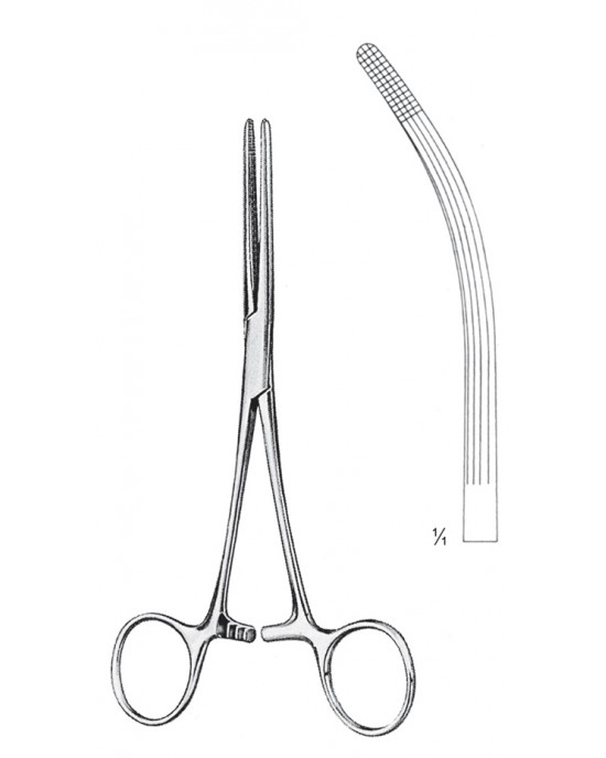SI 11-2581-20