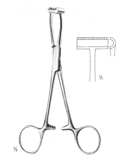 SI 11-2596-15