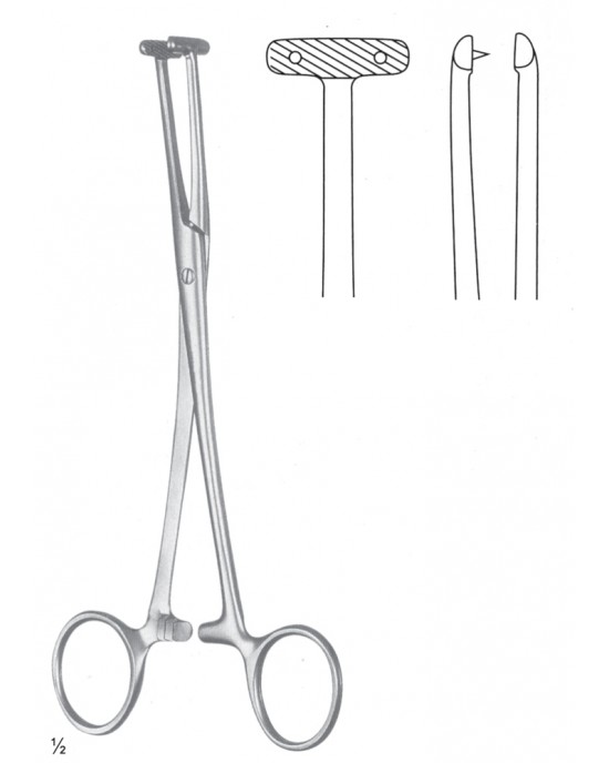 SI 11-2598-19