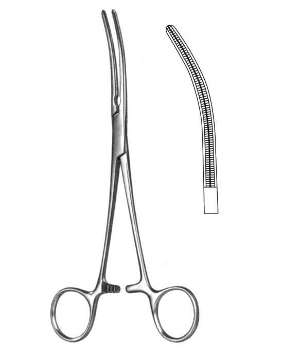 SI 19-5580-16