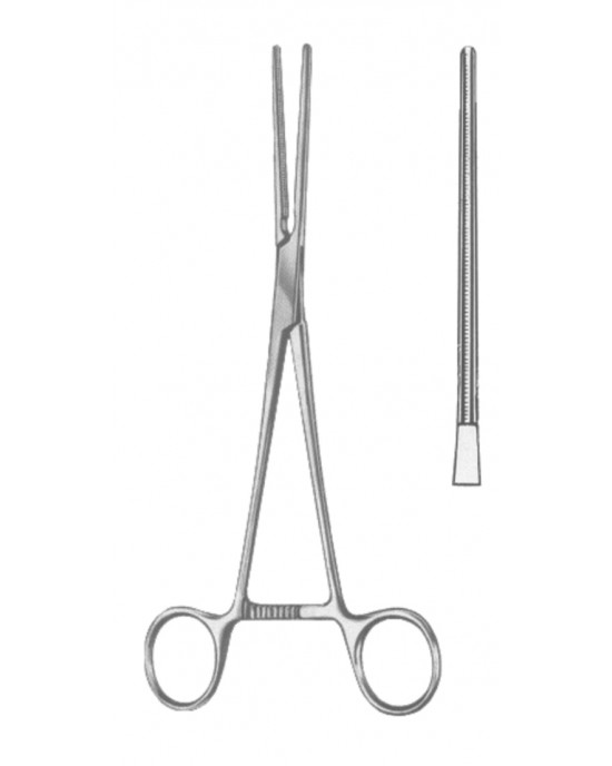 SI 19-5584-17