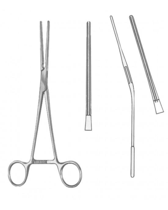SI 19-5585-17