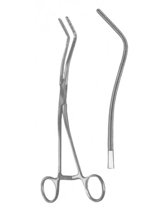 SI 19-5595-20