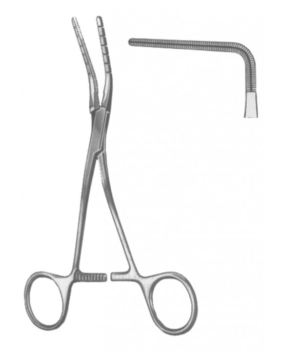 SI 19-5596-01