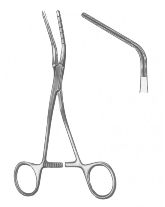 SI 19-5596-02