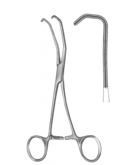 SI 19-5599-17