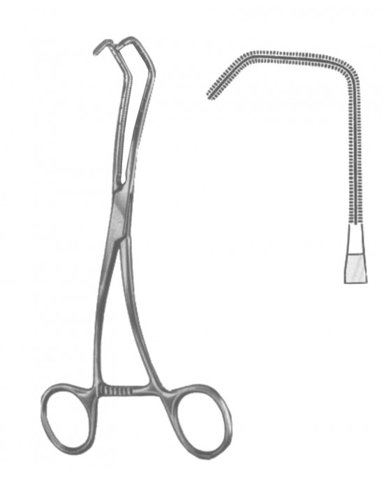 SI 19-5600-01