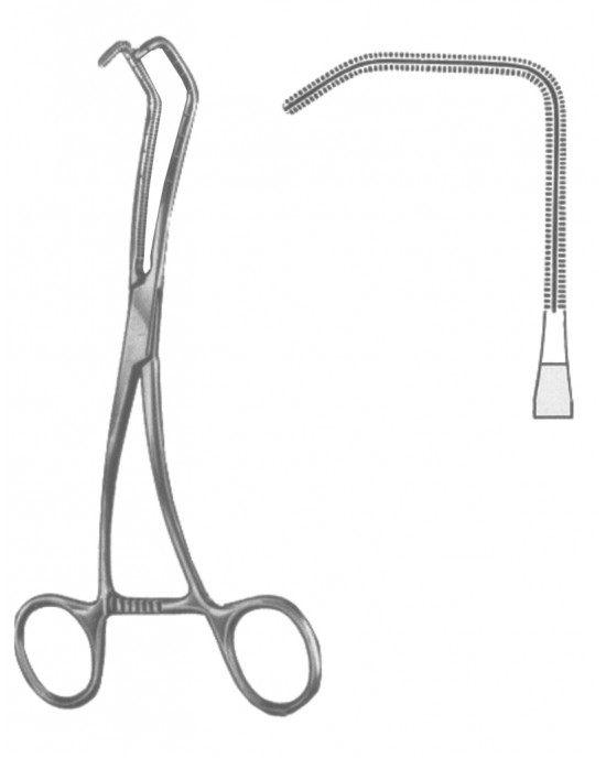 SI 19-5600-02