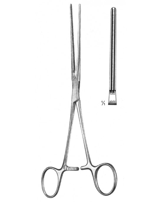 SI 19-5778-15