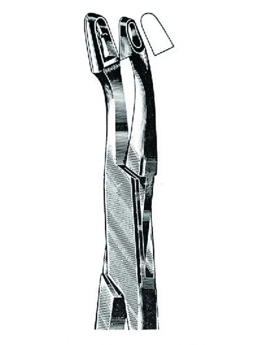 SI 29-8204-02